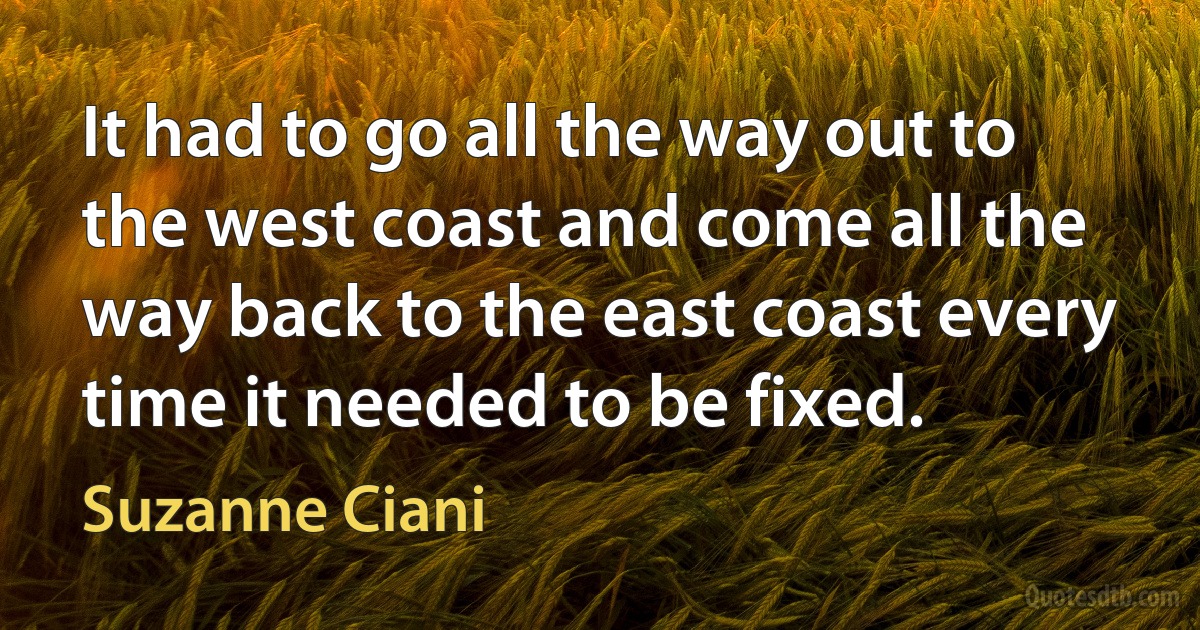 It had to go all the way out to the west coast and come all the way back to the east coast every time it needed to be fixed. (Suzanne Ciani)