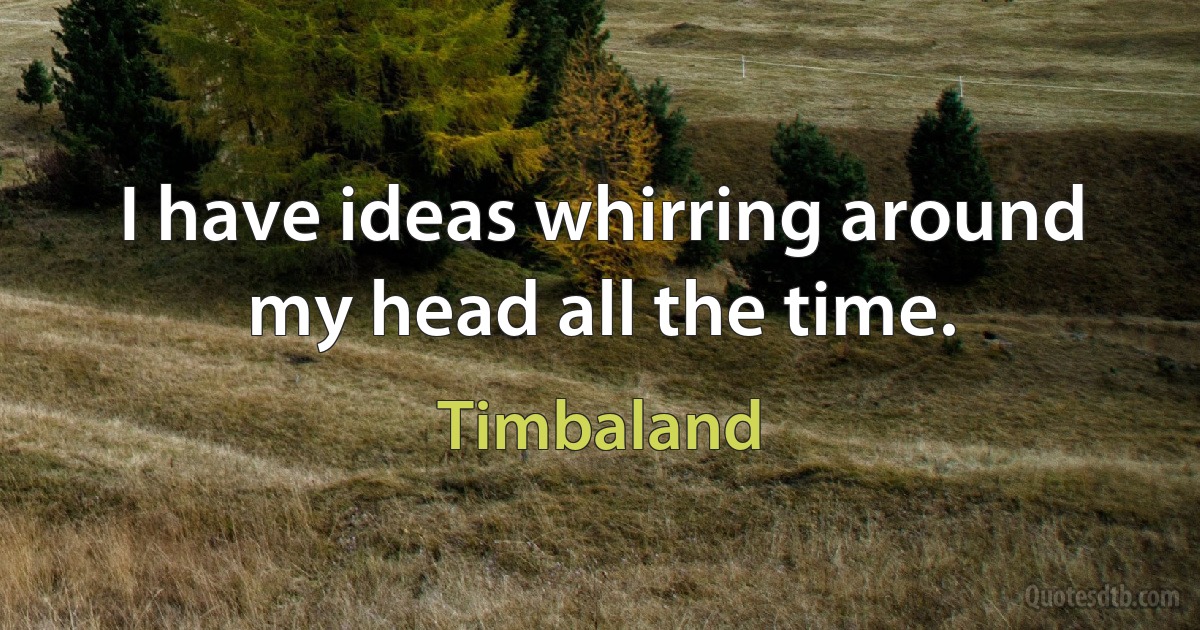 I have ideas whirring around my head all the time. (Timbaland)