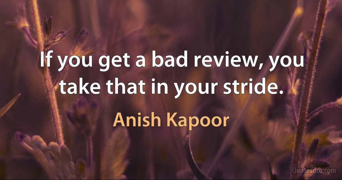 If you get a bad review, you take that in your stride. (Anish Kapoor)