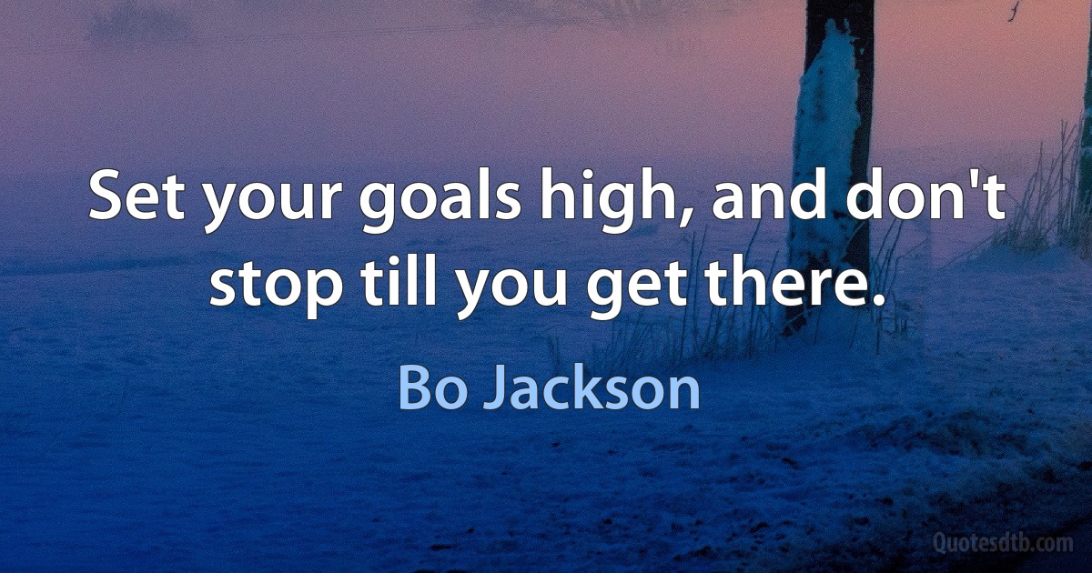 Set your goals high, and don't stop till you get there. (Bo Jackson)