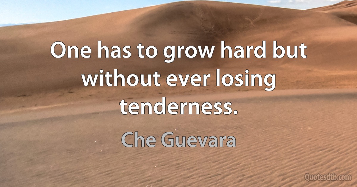 One has to grow hard but without ever losing tenderness. (Che Guevara)