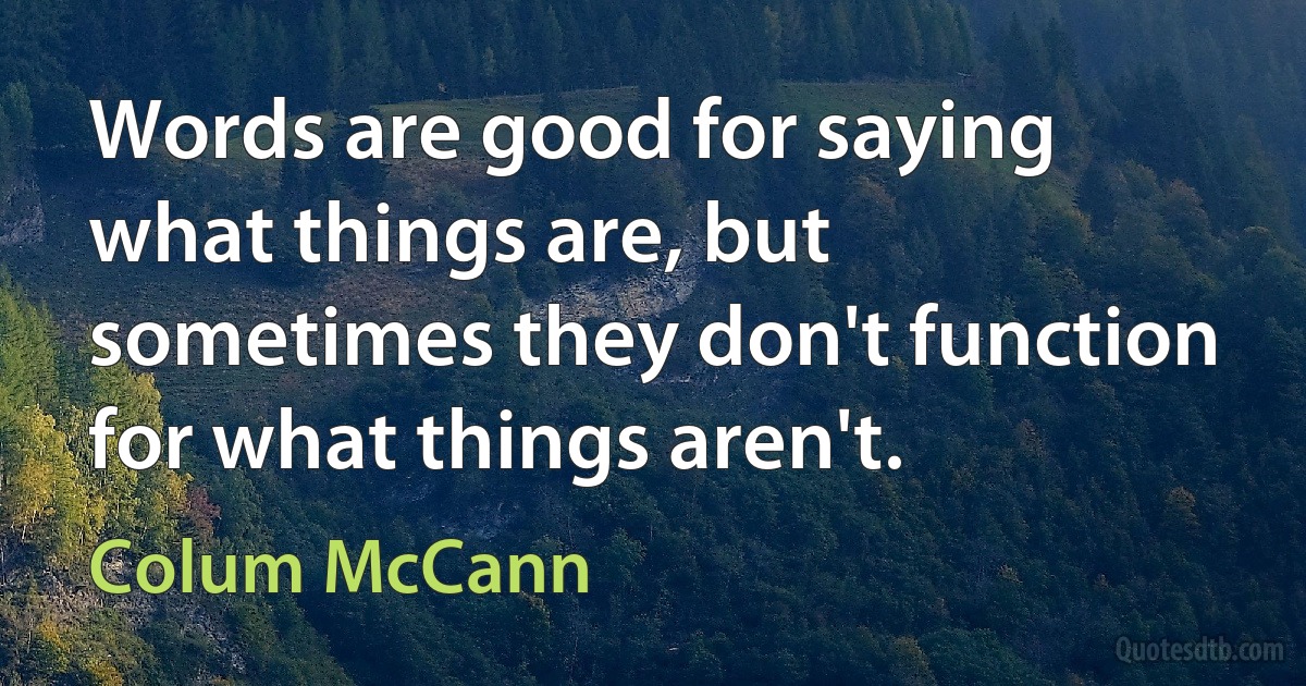 Words are good for saying what things are, but sometimes they don't function for what things aren't. (Colum McCann)