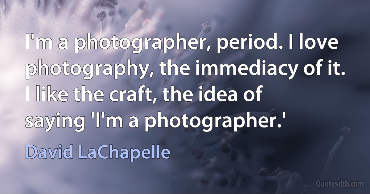 I'm a photographer, period. I love photography, the immediacy of it. I like the craft, the idea of saying 'I'm a photographer.' (David LaChapelle)