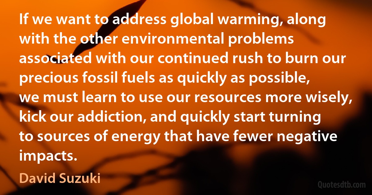 If we want to address global warming, along with the other environmental problems associated with our continued rush to burn our precious fossil fuels as quickly as possible, we must learn to use our resources more wisely, kick our addiction, and quickly start turning to sources of energy that have fewer negative impacts. (David Suzuki)