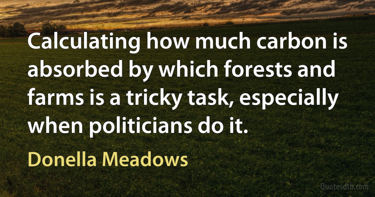 Calculating how much carbon is absorbed by which forests and farms is a tricky task, especially when politicians do it. (Donella Meadows)