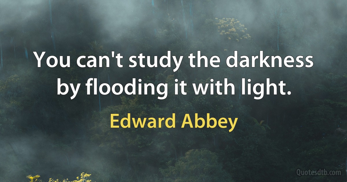 You can't study the darkness by flooding it with light. (Edward Abbey)