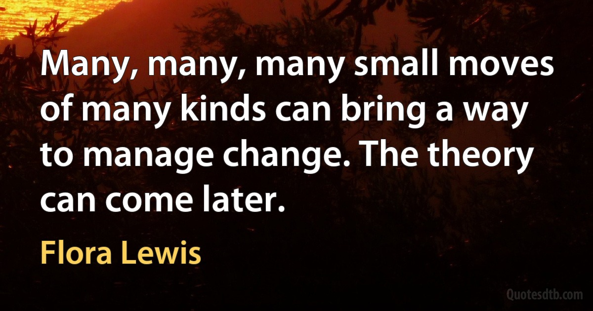 Many, many, many small moves of many kinds can bring a way to manage change. The theory can come later. (Flora Lewis)