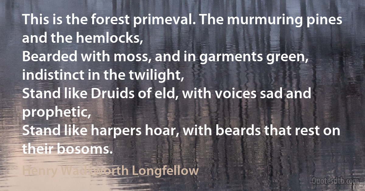 This is the forest primeval. The murmuring pines and the hemlocks,
Bearded with moss, and in garments green, indistinct in the twilight,
Stand like Druids of eld, with voices sad and prophetic,
Stand like harpers hoar, with beards that rest on their bosoms. (Henry Wadsworth Longfellow)