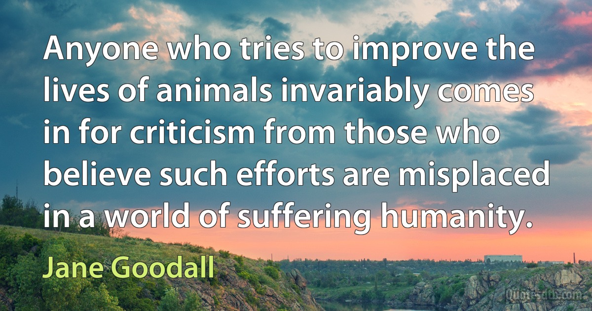 Anyone who tries to improve the lives of animals invariably comes in for criticism from those who believe such efforts are misplaced in a world of suffering humanity. (Jane Goodall)