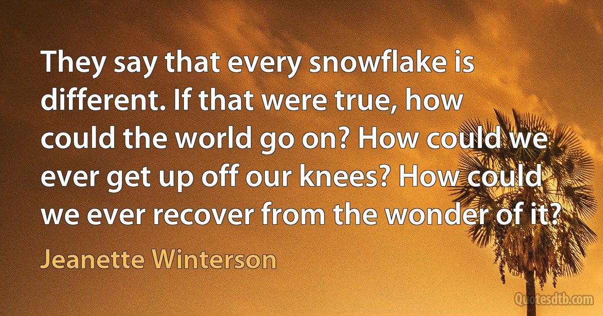 They say that every snowflake is different. If that were true, how could the world go on? How could we ever get up off our knees? How could we ever recover from the wonder of it? (Jeanette Winterson)