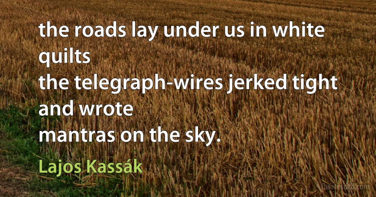 the roads lay under us in white quilts
the telegraph-wires jerked tight and wrote
mantras on the sky. (Lajos Kassák)