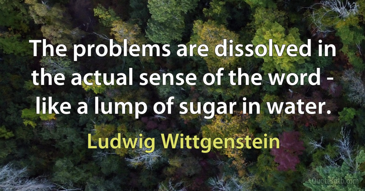 The problems are dissolved in the actual sense of the word - like a lump of sugar in water. (Ludwig Wittgenstein)