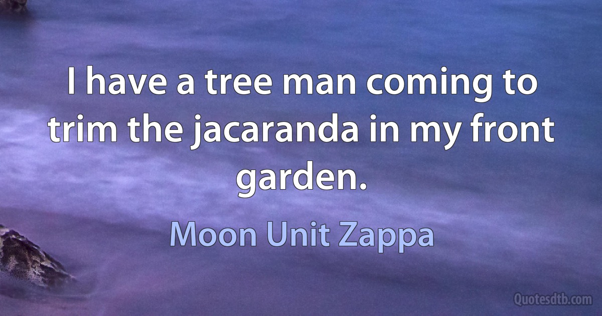 I have a tree man coming to trim the jacaranda in my front garden. (Moon Unit Zappa)