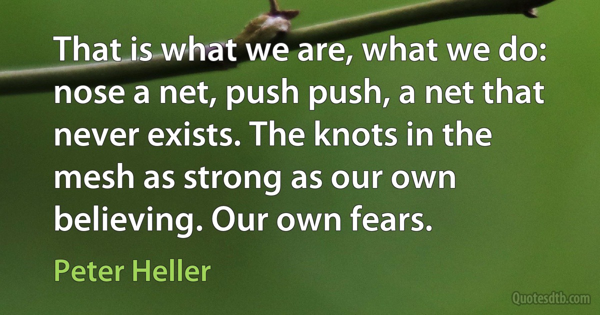 That is what we are, what we do: nose a net, push push, a net that never exists. The knots in the mesh as strong as our own believing. Our own fears. (Peter Heller)