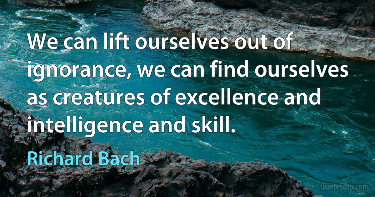 We can lift ourselves out of ignorance, we can find ourselves as creatures of excellence and intelligence and skill. (Richard Bach)