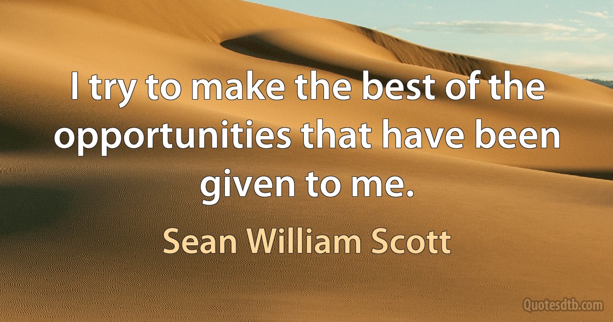 I try to make the best of the opportunities that have been given to me. (Sean William Scott)