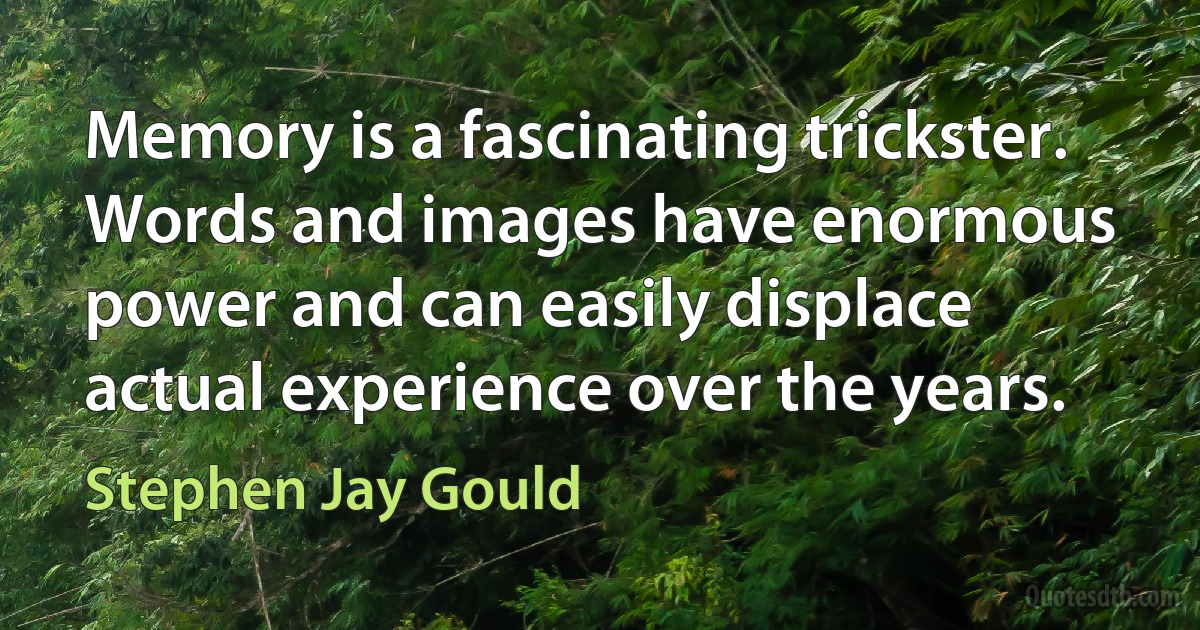 Memory is a fascinating trickster. Words and images have enormous power and can easily displace actual experience over the years. (Stephen Jay Gould)