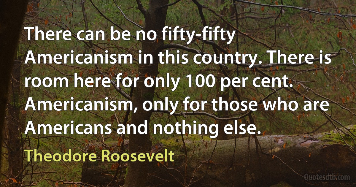 There can be no fifty-fifty Americanism in this country. There is room here for only 100 per cent. Americanism, only for those who are Americans and nothing else. (Theodore Roosevelt)