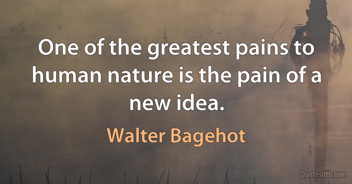 One of the greatest pains to human nature is the pain of a new idea. (Walter Bagehot)