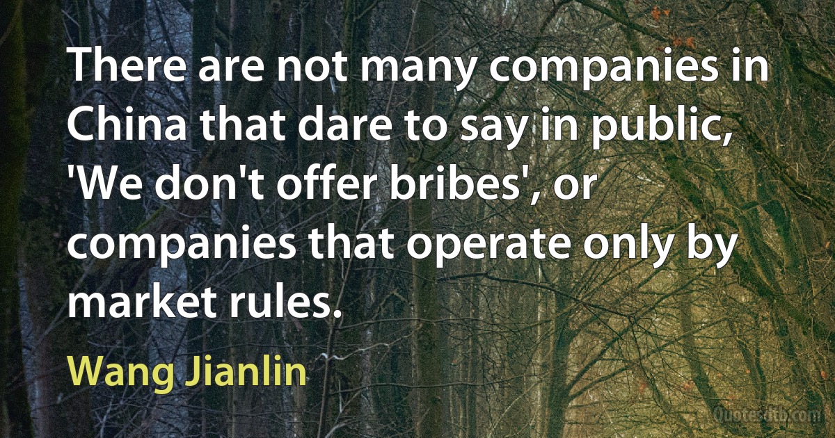 There are not many companies in China that dare to say in public, 'We don't offer bribes', or companies that operate only by market rules. (Wang Jianlin)