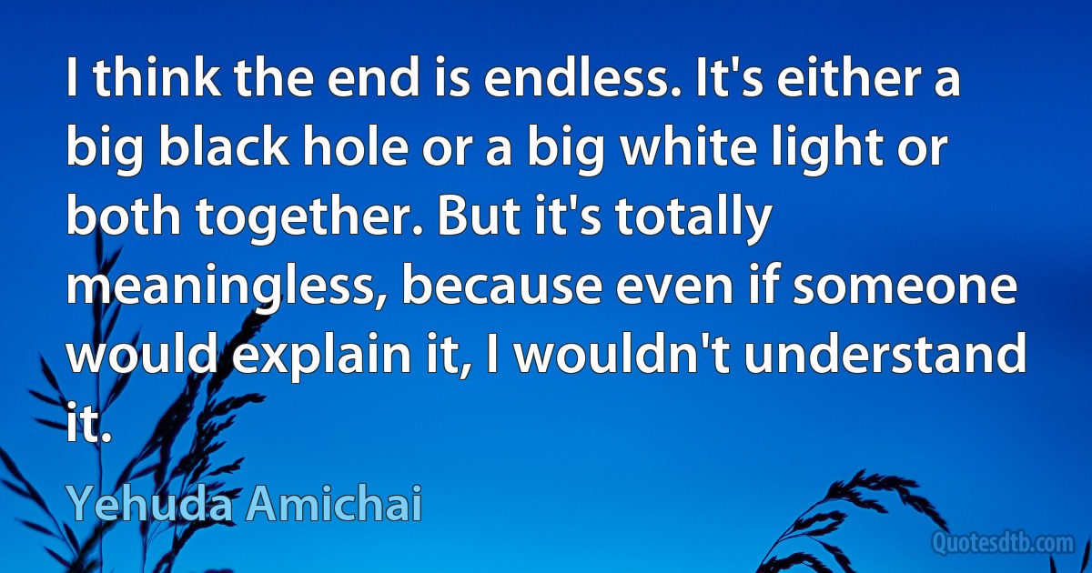 I think the end is endless. It's either a big black hole or a big white light or both together. But it's totally meaningless, because even if someone would explain it, I wouldn't understand it. (Yehuda Amichai)