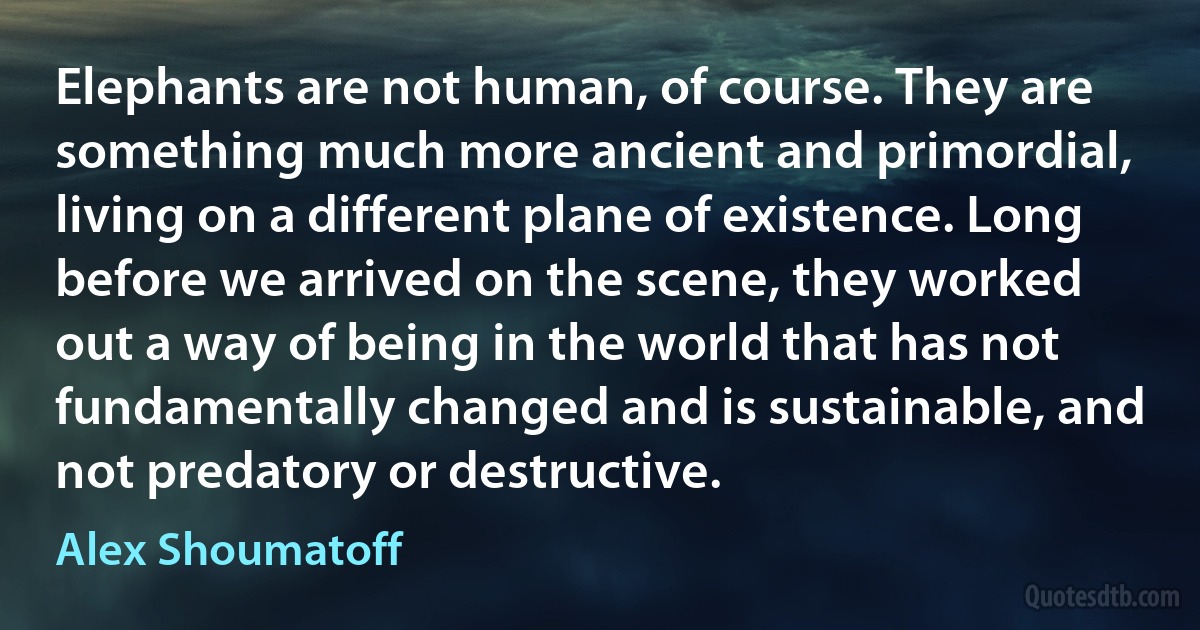 Elephants are not human, of course. They are something much more ancient and primordial, living on a different plane of existence. Long before we arrived on the scene, they worked out a way of being in the world that has not fundamentally changed and is sustainable, and not predatory or destructive. (Alex Shoumatoff)