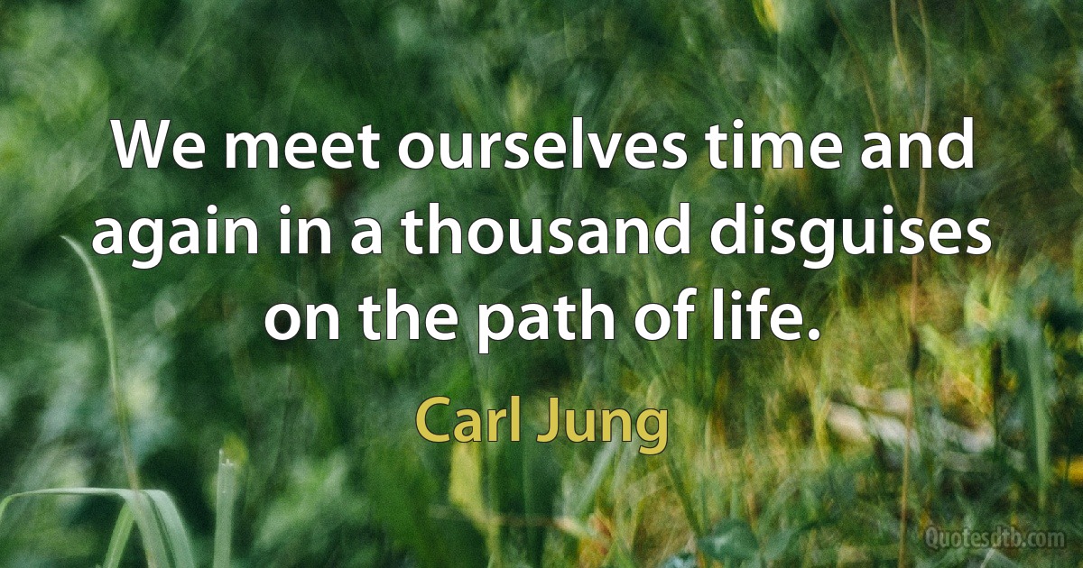 We meet ourselves time and again in a thousand disguises on the path of life. (Carl Jung)