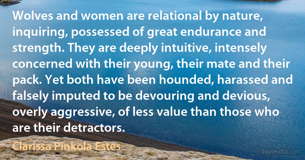 Wolves and women are relational by nature, inquiring, possessed of great endurance and strength. They are deeply intuitive, intensely concerned with their young, their mate and their pack. Yet both have been hounded, harassed and falsely imputed to be devouring and devious, overly aggressive, of less value than those who are their detractors. (Clarissa Pinkola Estes)