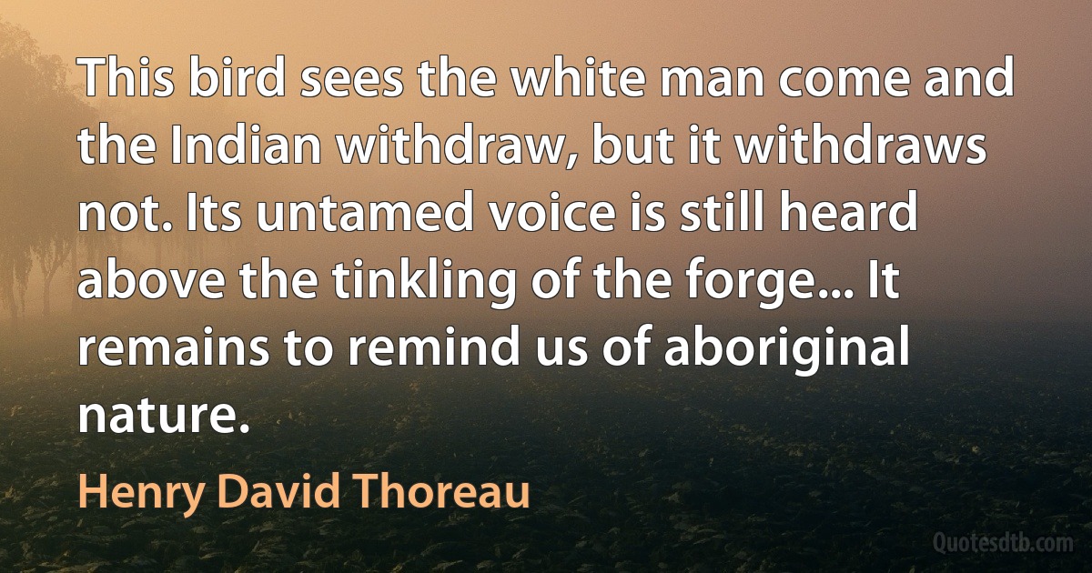 This bird sees the white man come and the Indian withdraw, but it withdraws not. Its untamed voice is still heard above the tinkling of the forge... It remains to remind us of aboriginal nature. (Henry David Thoreau)