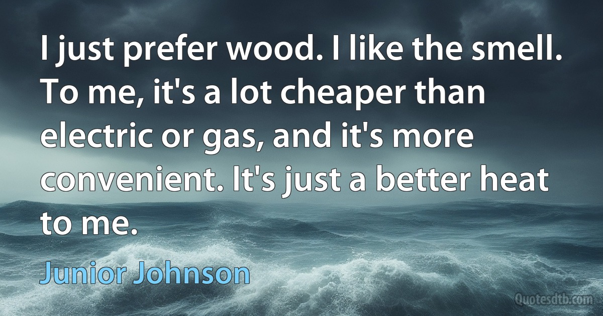 I just prefer wood. I like the smell. To me, it's a lot cheaper than electric or gas, and it's more convenient. It's just a better heat to me. (Junior Johnson)