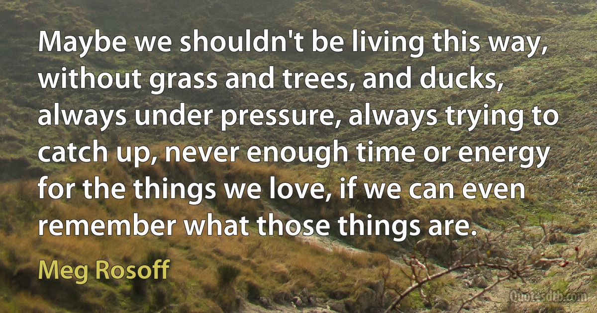 Maybe we shouldn't be living this way, without grass and trees, and ducks, always under pressure, always trying to catch up, never enough time or energy for the things we love, if we can even remember what those things are. (Meg Rosoff)