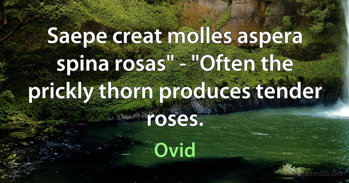 Saepe creat molles aspera spina rosas" - "Often the prickly thorn produces tender roses. (Ovid)