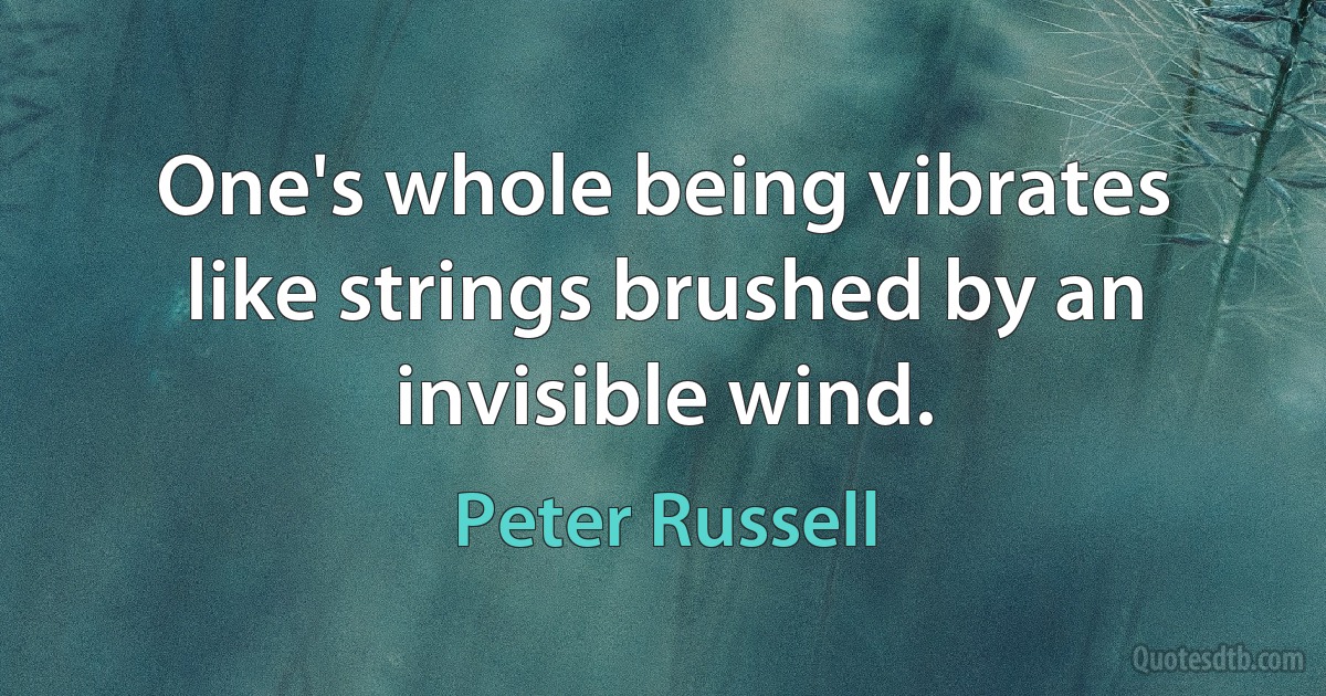 One's whole being vibrates like strings brushed by an invisible wind. (Peter Russell)