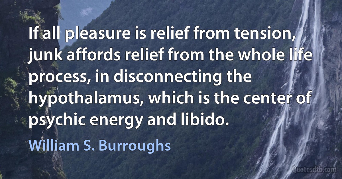 If all pleasure is relief from tension, junk affords relief from the whole life process, in disconnecting the hypothalamus, which is the center of psychic energy and libido. (William S. Burroughs)