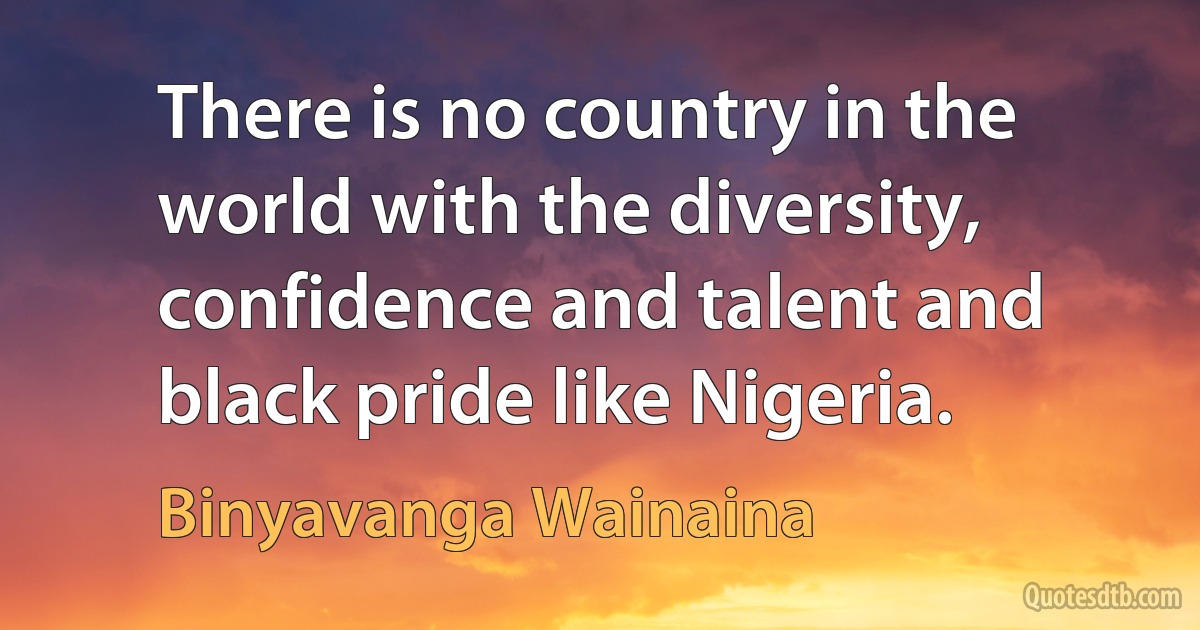 There is no country in the world with the diversity, confidence and talent and black pride like Nigeria. (Binyavanga Wainaina)