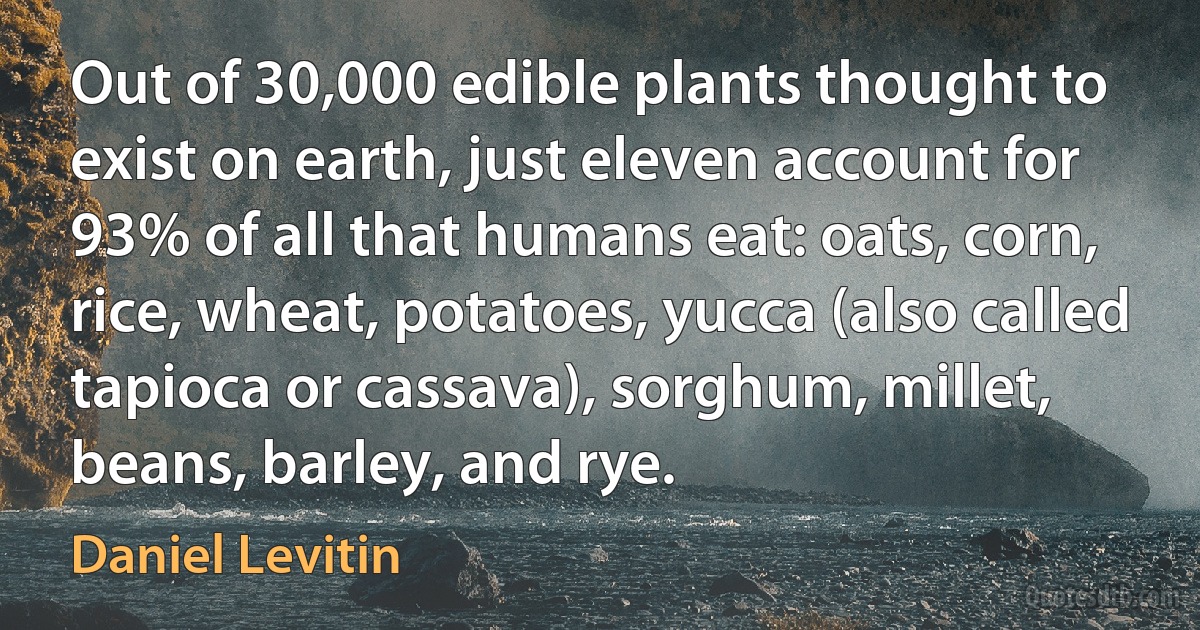 Out of 30,000 edible plants thought to exist on earth, just eleven account for 93% of all that humans eat: oats, corn, rice, wheat, potatoes, yucca (also called tapioca or cassava), sorghum, millet, beans, barley, and rye. (Daniel Levitin)