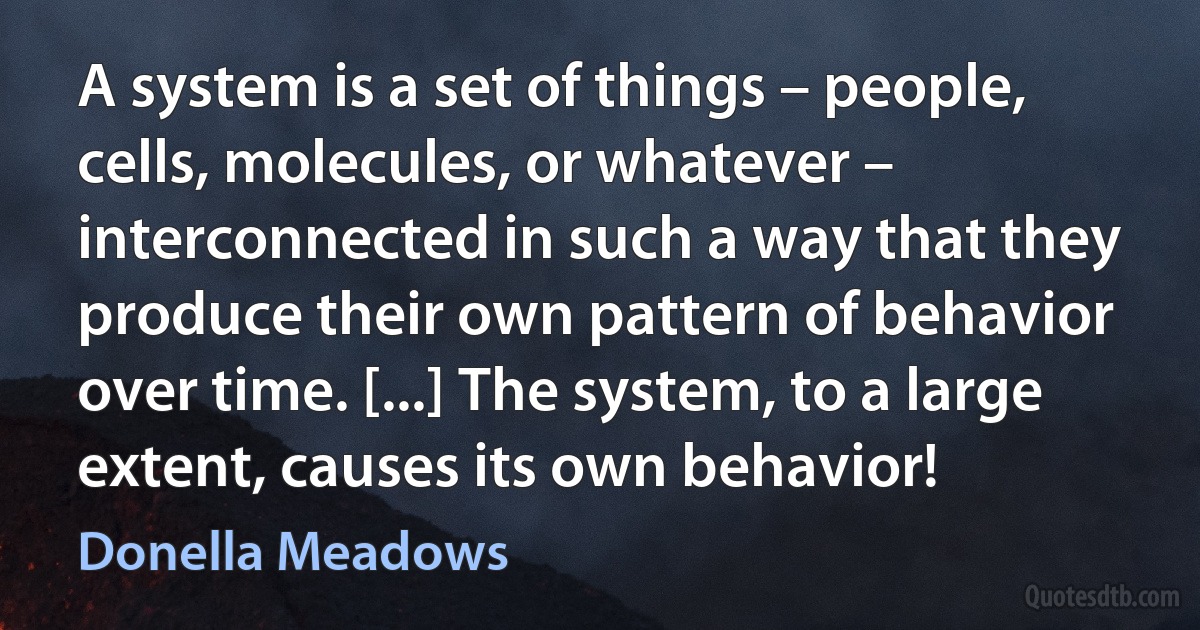 A system is a set of things – people, cells, molecules, or whatever – interconnected in such a way that they produce their own pattern of behavior over time. [...] The system, to a large extent, causes its own behavior! (Donella Meadows)