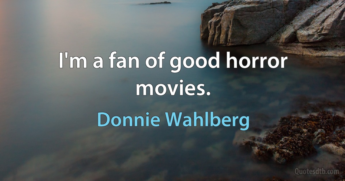 I'm a fan of good horror movies. (Donnie Wahlberg)