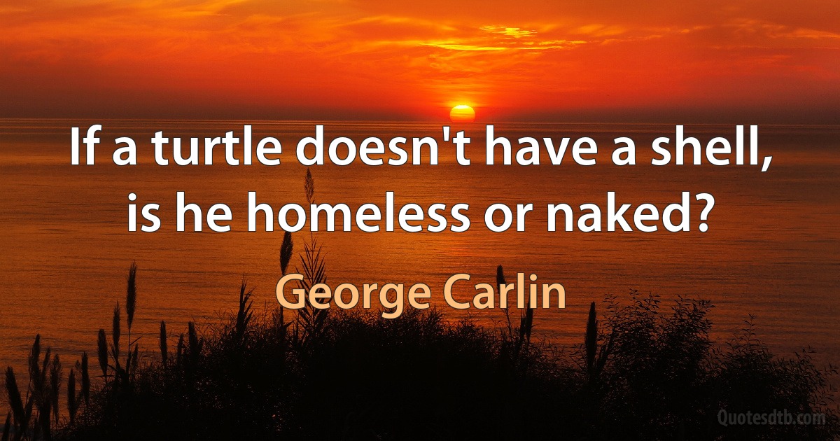 If a turtle doesn't have a shell, is he homeless or naked? (George Carlin)