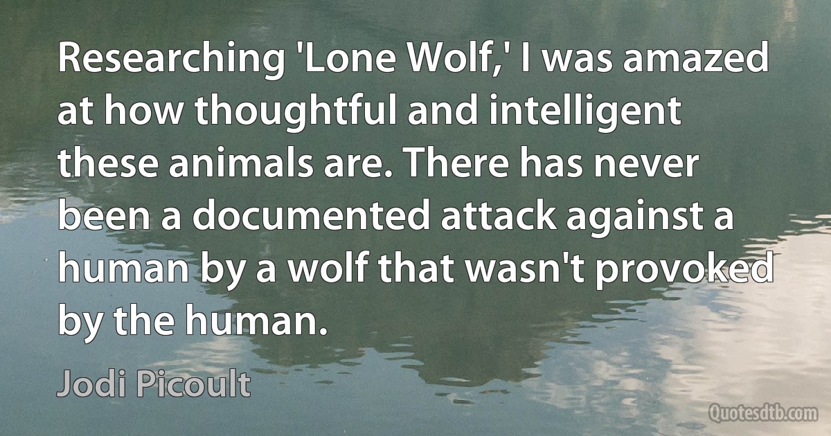 Researching 'Lone Wolf,' I was amazed at how thoughtful and intelligent these animals are. There has never been a documented attack against a human by a wolf that wasn't provoked by the human. (Jodi Picoult)