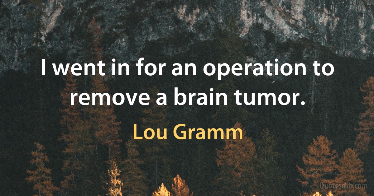 I went in for an operation to remove a brain tumor. (Lou Gramm)