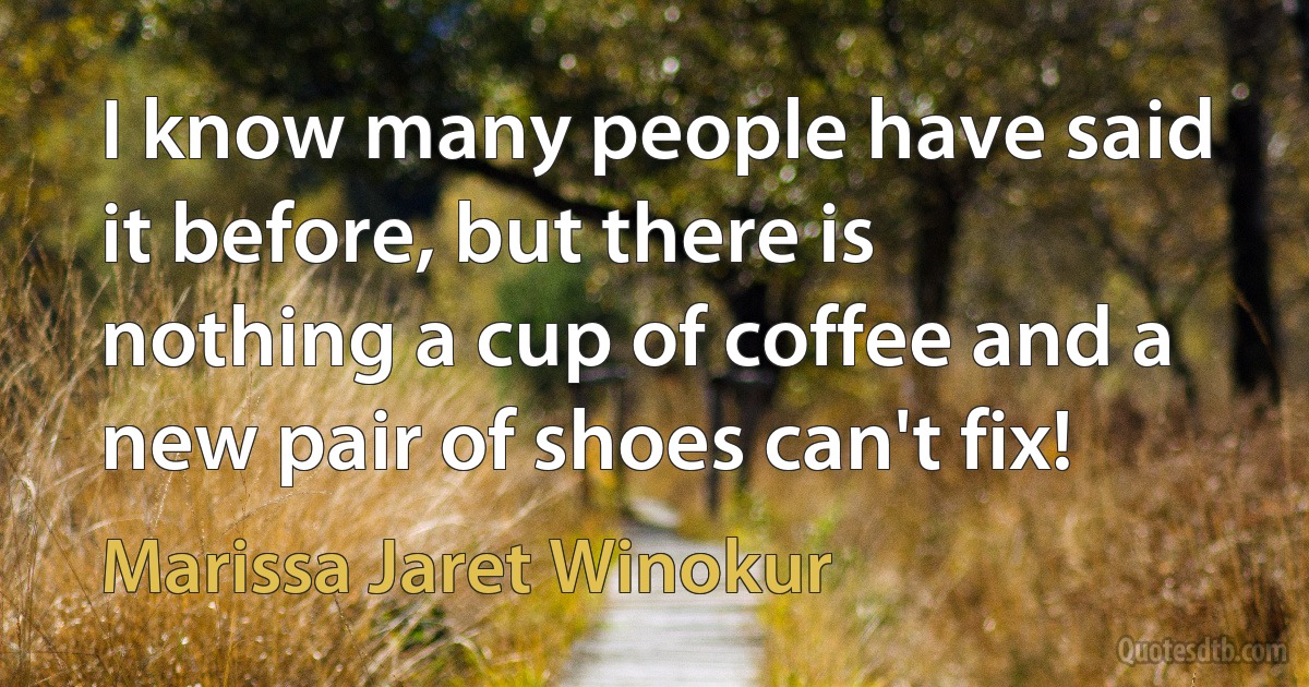 I know many people have said it before, but there is nothing a cup of coffee and a new pair of shoes can't fix! (Marissa Jaret Winokur)