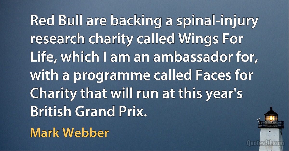 Red Bull are backing a spinal-injury research charity called Wings For Life, which I am an ambassador for, with a programme called Faces for Charity that will run at this year's British Grand Prix. (Mark Webber)