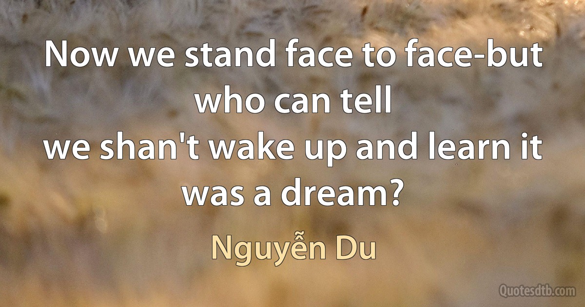 Now we stand face to face-but who can tell
we shan't wake up and learn it was a dream? (Nguyễn Du)