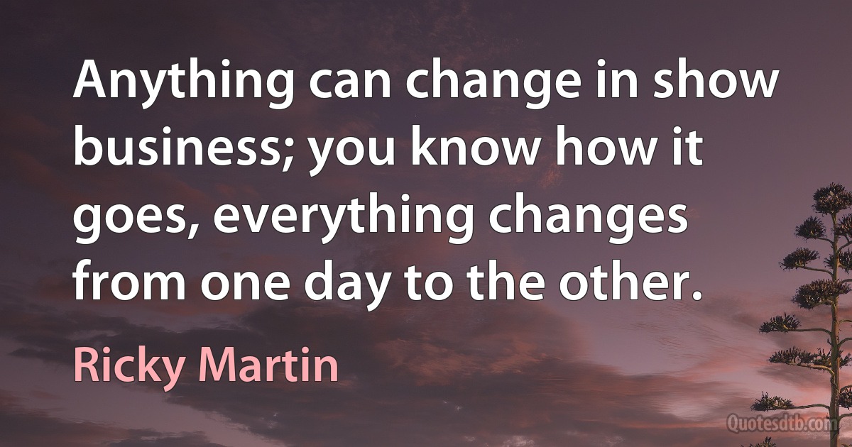 Anything can change in show business; you know how it goes, everything changes from one day to the other. (Ricky Martin)