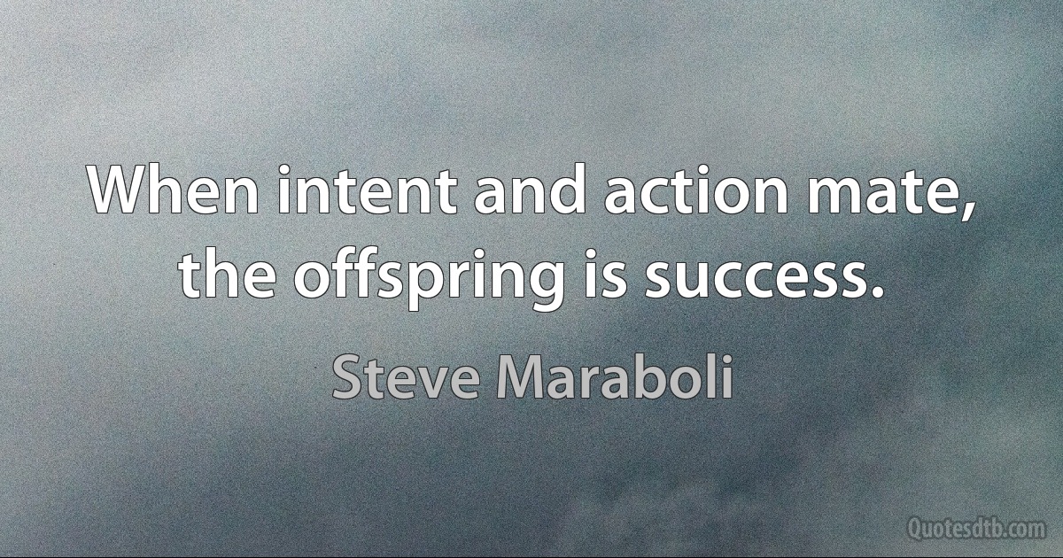 When intent and action mate, the offspring is success. (Steve Maraboli)