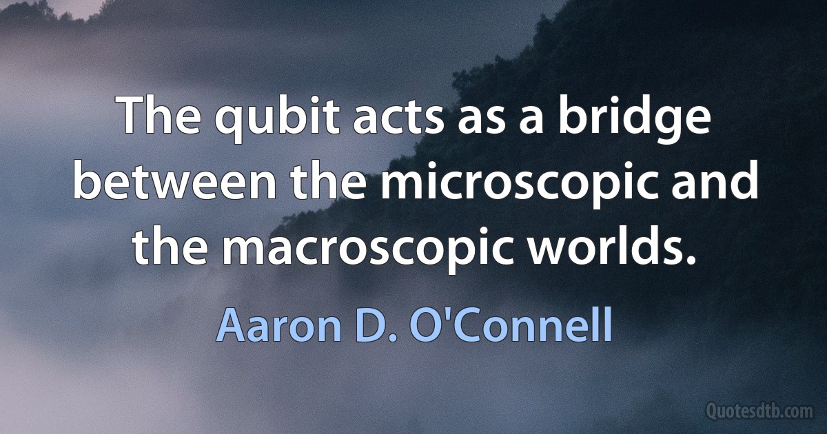 The qubit acts as a bridge between the microscopic and the macroscopic worlds. (Aaron D. O'Connell)