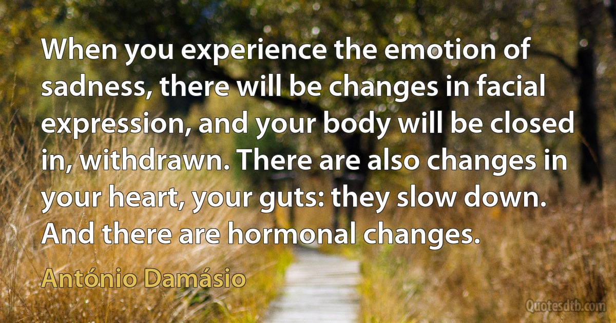 When you experience the emotion of sadness, there will be changes in facial expression, and your body will be closed in, withdrawn. There are also changes in your heart, your guts: they slow down. And there are hormonal changes. (António Damásio)