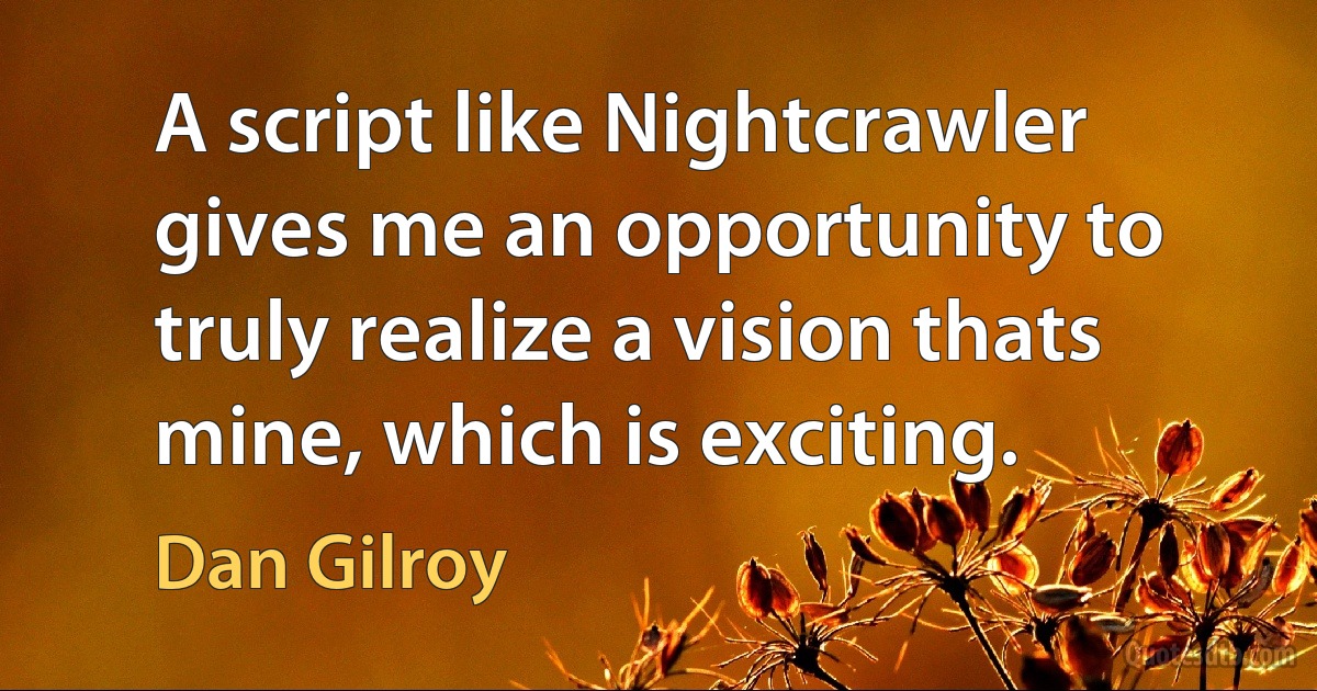 A script like Nightcrawler gives me an opportunity to truly realize a vision thats mine, which is exciting. (Dan Gilroy)