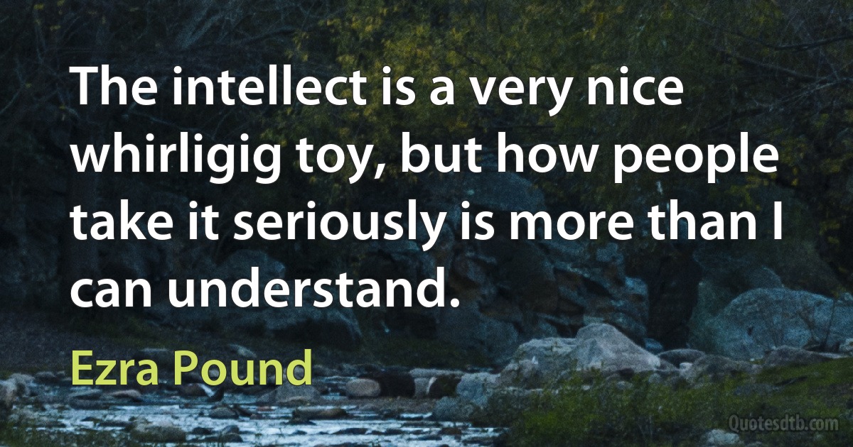 The intellect is a very nice whirligig toy, but how people take it seriously is more than I can understand. (Ezra Pound)